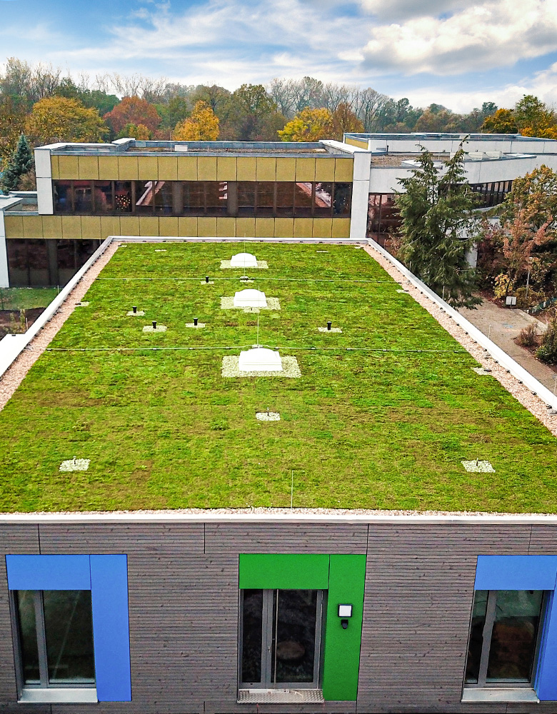 Co je to zelená střecha?